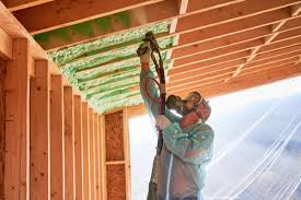 Best Eco-Friendly or Green Insulation Solutions  in Iowa, LA